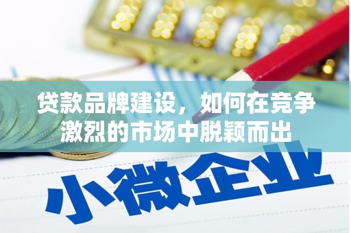 嘉黎贷款品牌建设，如何在竞争激烈的市场中脱颖而出
