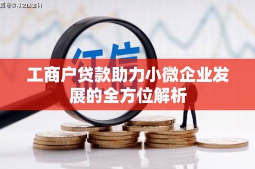 嘉黎工商户贷款助力小微企业发展的全方位解析