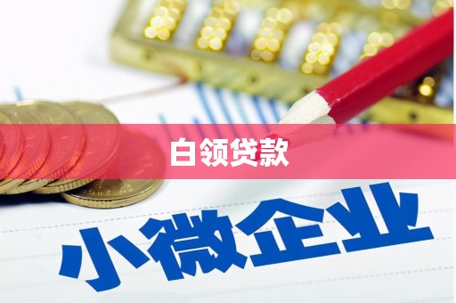 嘉黎白领贷款
