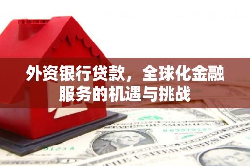 嘉黎外资银行贷款，全球化金融服务的机遇与挑战