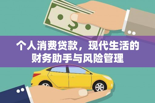 嘉黎个人消费贷款，现代生活的财务助手与风险管理
