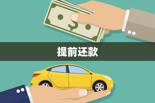 嘉黎提前还款