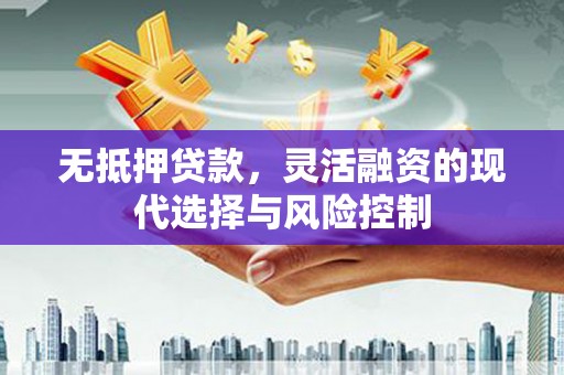 嘉黎无抵押贷款，灵活融资的现代选择与风险控制
