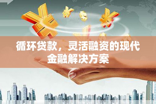 嘉黎循环贷款，灵活融资的现代金融解决方案