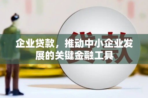 嘉黎企业贷款，推动中小企业发展的关键金融工具