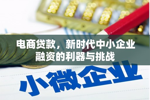 嘉黎电商贷款，新时代中小企业融资的利器与挑战
