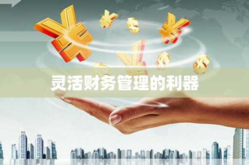 嘉黎灵活财务管理的利器