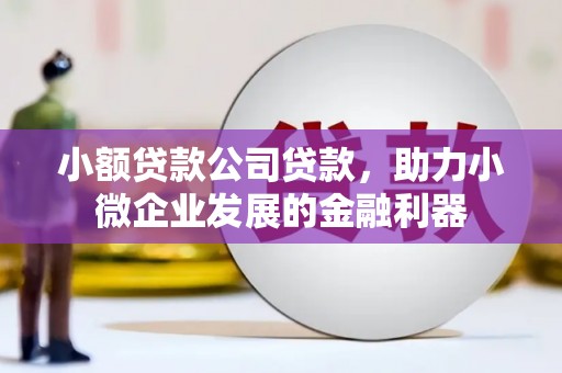 嘉黎小额贷款公司贷款，助力小微企业发展的金融利器