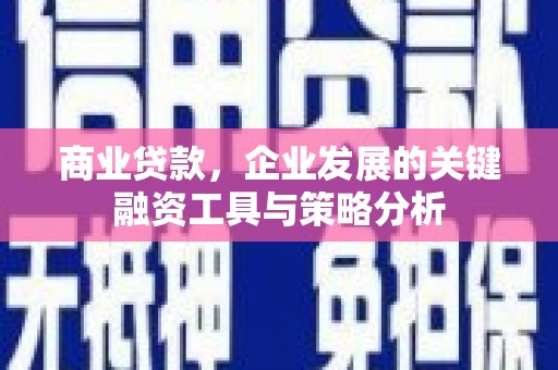 嘉黎商业贷款，企业发展的关键融资工具与策略分析