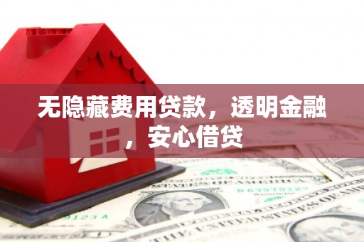 嘉黎无隐藏费用贷款，透明金融，安心借贷