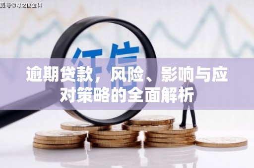 嘉黎逾期贷款，风险、影响与应对策略的全面解析