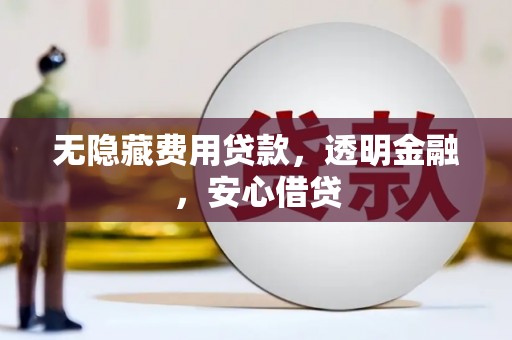 嘉黎无隐藏费用贷款，透明金融，安心借贷