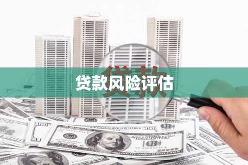 嘉黎贷款风险评估