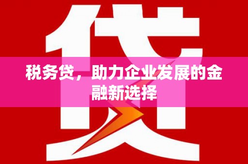 嘉黎税务贷，助力企业发展的金融新选择