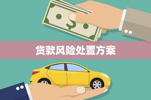 嘉黎贷款风险处置方案
