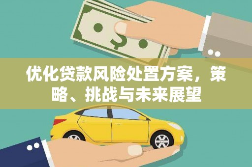 嘉黎优化贷款风险处置方案，策略、挑战与未来展望