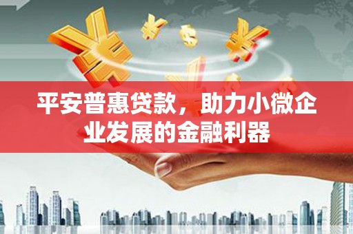 嘉黎平安普惠贷款，助力小微企业发展的金融利器