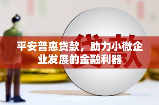 嘉黎平安普惠贷款，助力小微企业发展的金融利器