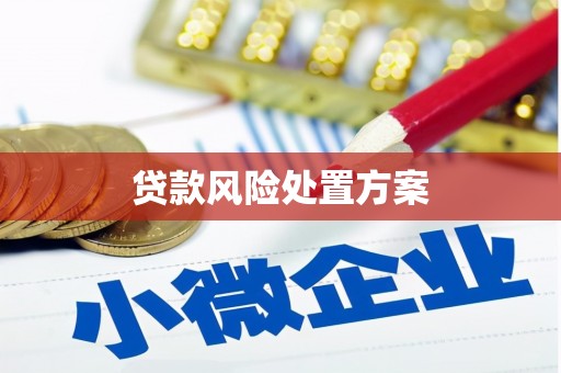 嘉黎贷款风险处置方案