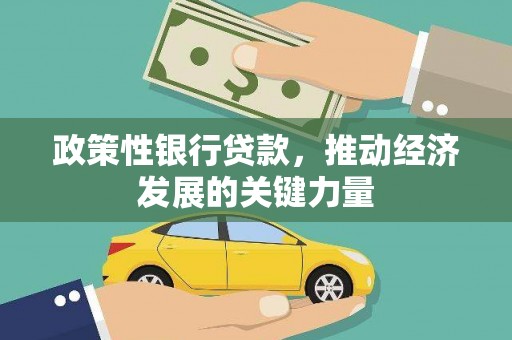 嘉黎政策性银行贷款，推动经济发展的关键力量