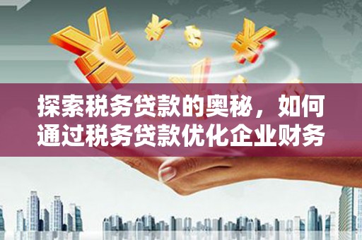 嘉黎探索税务贷款的奥秘，如何通过税务贷款优化企业财务