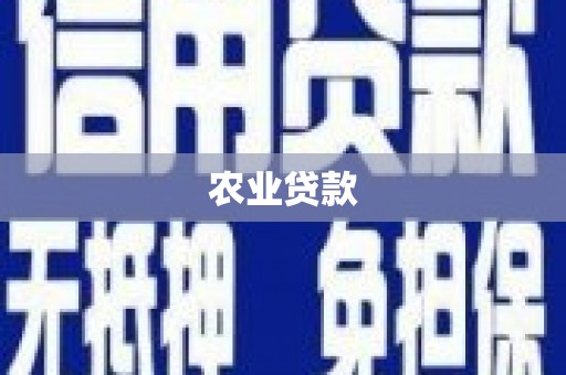 嘉黎农业贷款