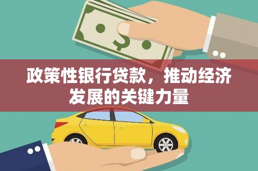 嘉黎政策性银行贷款，推动经济发展的关键力量
