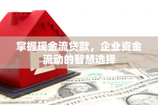 嘉黎掌握现金流贷款，企业资金流动的智慧选择