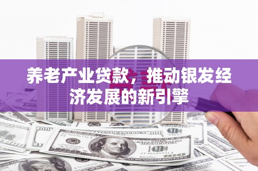 嘉黎养老产业贷款，推动银发经济发展的新引擎