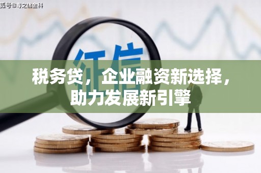 嘉黎税务贷，企业融资新选择，助力发展新引擎