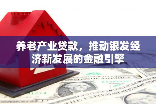 嘉黎养老产业贷款，推动银发经济新发展的金融引擎