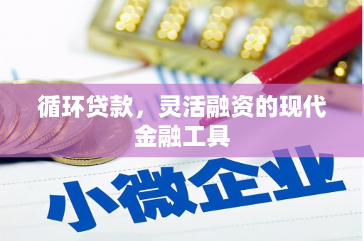 嘉黎循环贷款，灵活融资的现代金融工具
