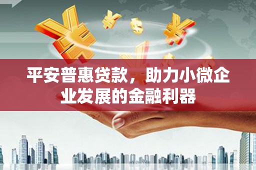 嘉黎平安普惠贷款，助力小微企业发展的金融利器