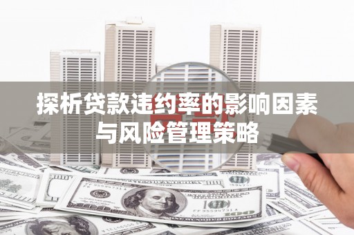 嘉黎探析贷款违约率的影响因素与风险管理策略