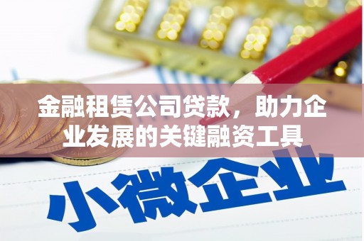 嘉黎金融租赁公司贷款，助力企业发展的关键融资工具