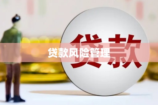 嘉黎贷款风险管理