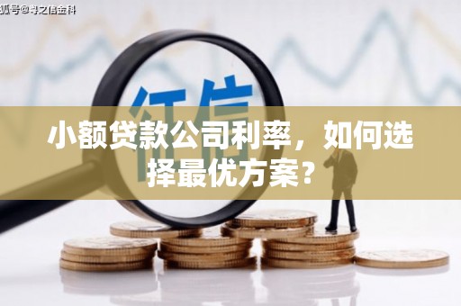 嘉黎小额贷款公司利率，如何选择最优方案？