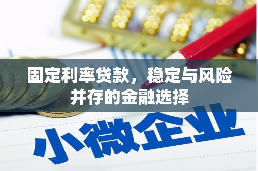 嘉黎固定利率贷款，稳定与风险并存的金融选择