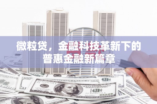 嘉黎微粒贷，金融科技革新下的普惠金融新篇章