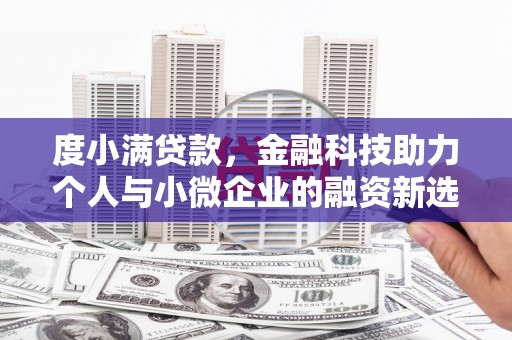 嘉黎度小满贷款，金融科技助力个人与小微企业的融资新选择