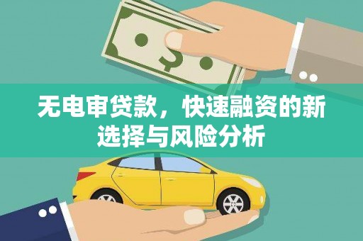 嘉黎无电审贷款，快速融资的新选择与风险分析