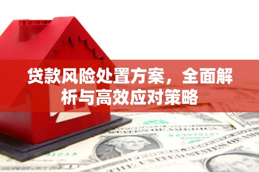 嘉黎贷款风险处置方案，全面解析与高效应对策略