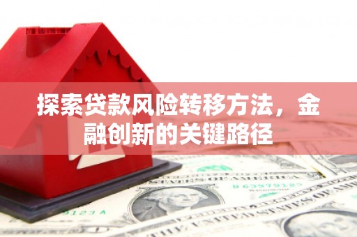 嘉黎探索贷款风险转移方法，金融创新的关键路径