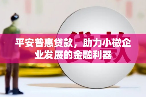 嘉黎平安普惠贷款，助力小微企业发展的金融利器