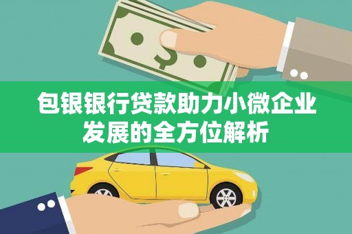 嘉黎包银银行贷款助力小微企业发展的全方位解析