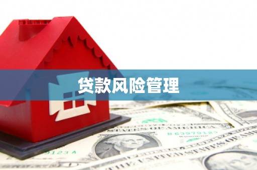 嘉黎贷款风险管理