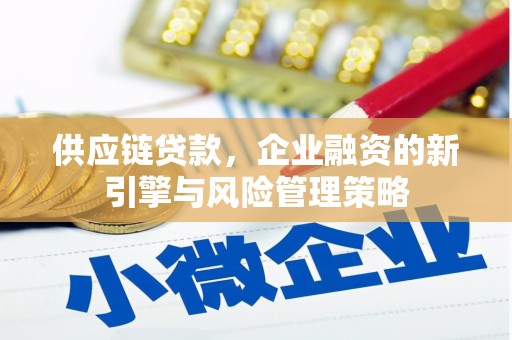 嘉黎供应链贷款，企业融资的新引擎与风险管理策略