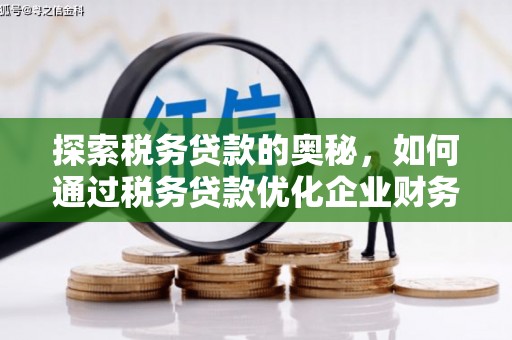 嘉黎探索税务贷款的奥秘，如何通过税务贷款优化企业财务