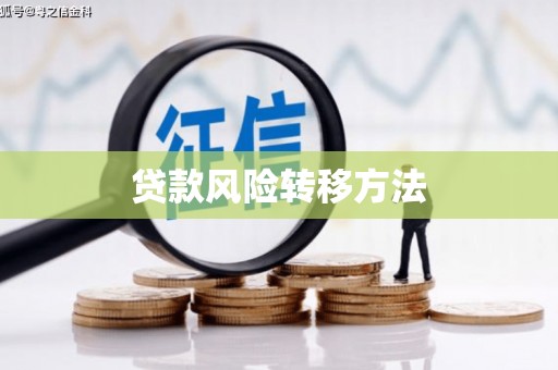 嘉黎贷款风险转移方法