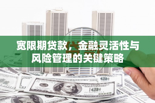 嘉黎宽限期贷款，金融灵活性与风险管理的关键策略